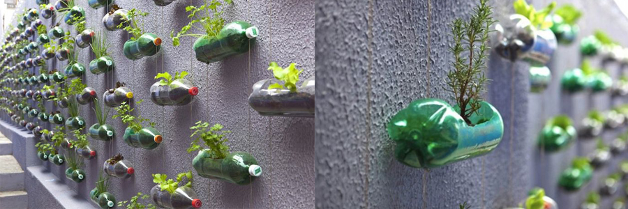 Mini indoor Garden Ideas to Green Your Home - Residential Design Blog